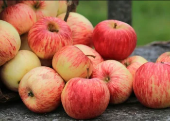 Ndoshta deri me sot e keni ditur gabim, me apo pa lekure duhet te konsumohet molla?