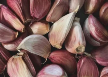 Çfarë i ndodh trupit nëse konsumoni më shumë hudhra seç duhet