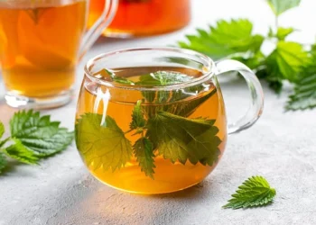 Menyra e pergatitjes dhe si te merrni plot 10 perfitime nga çaji i hithres