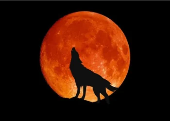 Hëna e Plotë e Ujkut më 3 Janar, këto shenja do të përballen me një…