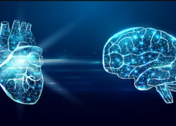 Cilat janë 4 frutat e thata që forcojnë zemrën, kockat dhe trurin?