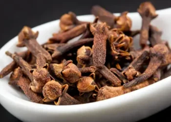 Karafilat do ti mbani gjithmone ne xhep me vete pasi te mesoni keto 8 perfitime