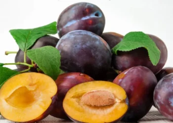 Konsumoni 8 kumbulla në ditë për dy muaj, nuk do ta besoni se çfarë do të ndodhë me shëndetin tuaj