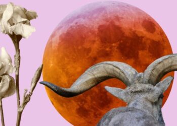 Zyrtarisht në sezonin e Demit! Zbuloni çfarë do të ndodhë me secilën shenjë të horoskopit