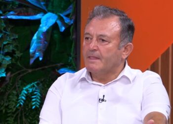 Nga rigjenerimi i lëkurës te imuniteti: Ylli Merja tregon Fuqia shëruese e Kumakut që duhet ta njihni