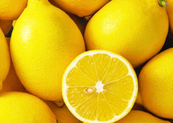 Vitaminat që çdo grua duhet të marrë çdo ditë, mësoni se cilat janë