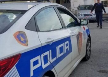 KR*M në familje në Kurbin! Arrestohet 57-vjeçarja, dyshohet se vr*u me th*kë të ëmën (Detaje)