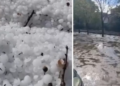 Breshëri si kokërr guri bënë NAMIN në vend, shkatërron të mbjellat dhe…(Video)