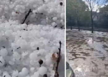 Breshëri si kokërr guri bënë NAMIN në vend, shkatërron të mbjellat dhe…(Video)