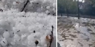 Breshëri si kokërr guri bënë NAMIN në vend, shkatërron të mbjellat dhe…(Video)