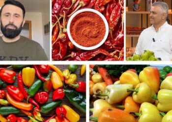 Mos iu ndani specave, janë depo vitaminash! Pse speci djegës është konsideruar ‘ari i kuq’ në tavolinë