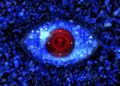 “Ne e humbëm beben” – Ish-banorja e Big Brother VIP ndan mesazhin e dhimbshëm