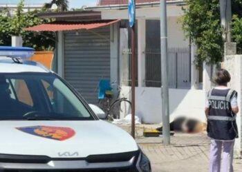 PAMJE TR0NDITESE/ Tr*pi i gruas i “mbuIuar” nga gj*ku qëndron anash rrugës, familjarët të shkatërruar japin dëshmi…